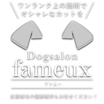 ワンちゃんの個性に合わせたカットスタイルをご提案 Fameux 皮膚被毛の健康維持もお任せください！